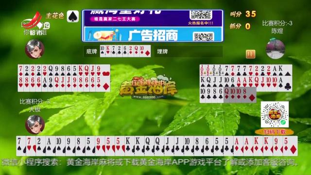 谁是赢家20250421