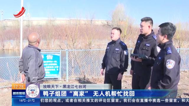 【放眼天下】黑龙江七台河：鸭子组团“离家” 无人机帮忙找回