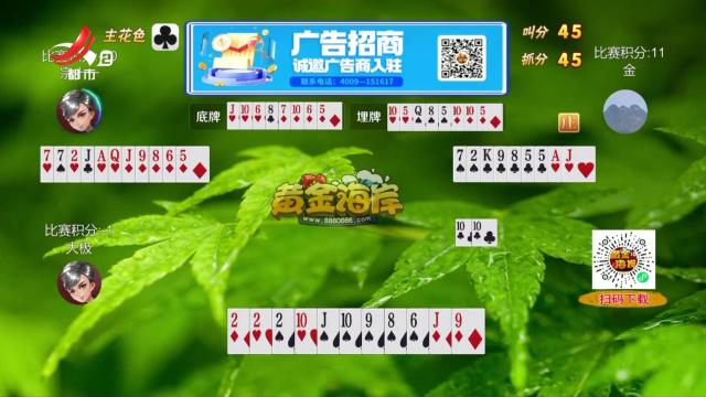 谁是赢家20250417