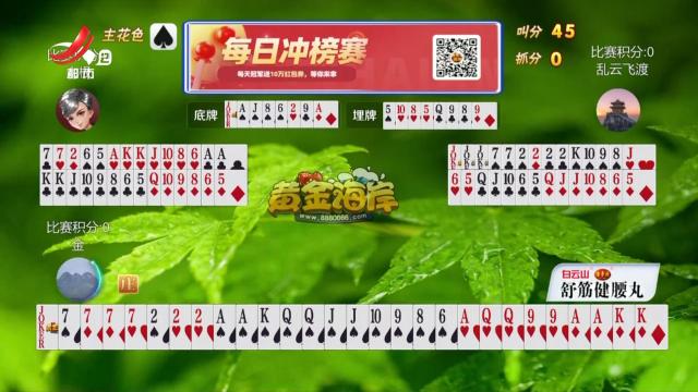 谁是赢家20250418