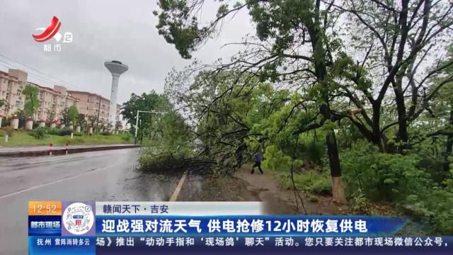【赣闻天下】吉安：迎战强对流天气 供电抢修12小时恢复供电