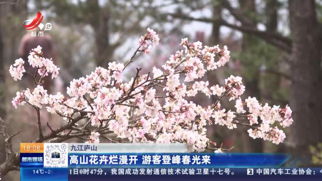 九江庐山：高山花卉烂漫开 游客登峰春光来