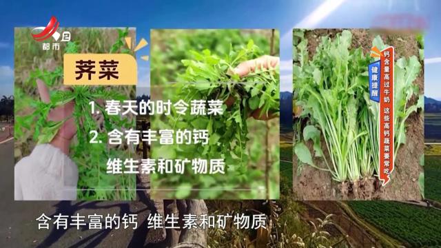 健康提醒：钙含量高过牛奶 这些高钙蔬菜要常吃