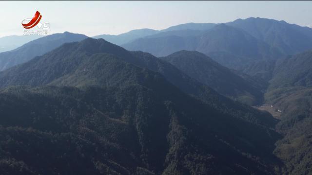 美丽江西在行动20250420 守护齐云山——两代人的绿色传承