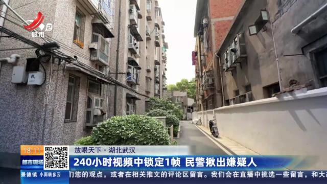【放眼天下】湖北武汉：240小时视频中锁定1帧 民警揪出嫌疑人