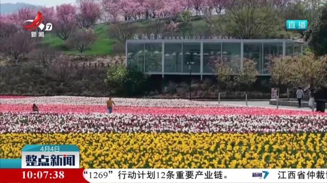 清明假期每日出游人数预计超4000万人次