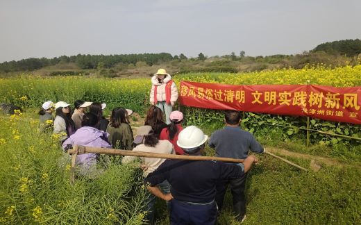 丰城市龙津洲街道：田间地头倡新风 移风易俗过清明