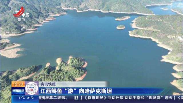 江西鲟鱼“游”向哈萨克斯坦