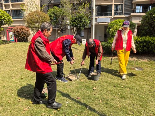 宜春市袁州区凤凰街道桂园社区：网格化治理见实效 多方联动焕新貌
