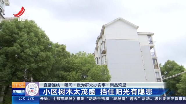 【直播连线·赣问·我为群众办实事】南昌湾里：小区树木太茂盛 挡住阳光有隐患