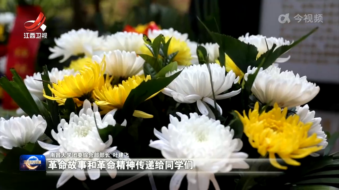 清明祭忆：以行动告慰“老阿姨” 让薪火永相传