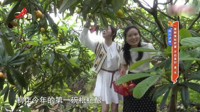 四川泸州：一席鲜美枇杷宴 开启美好“食”光