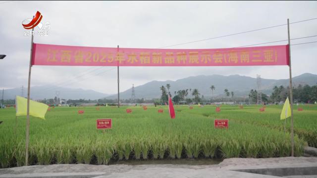 新闻晚高峰20250421