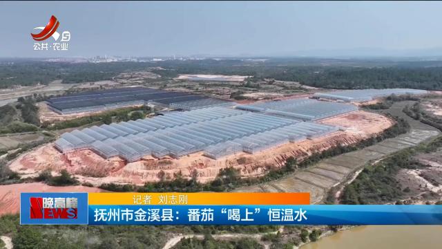抚州市金溪县：番茄“喝上”恒温水