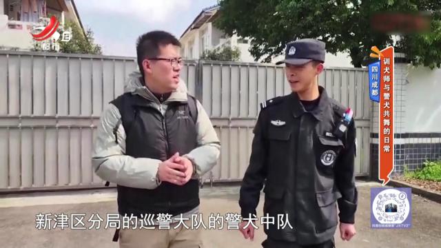 四川成都：训犬师与警犬共舞的日常