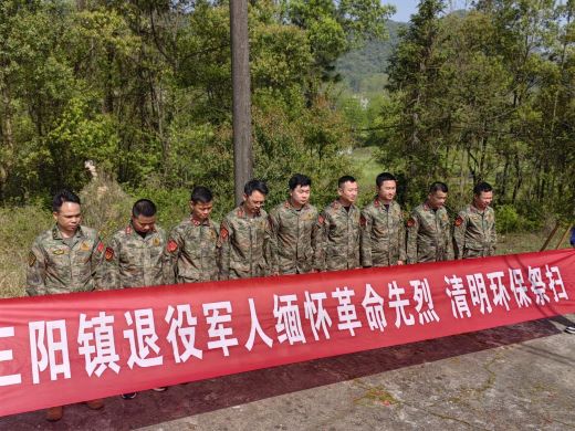 宜春市袁州区三阳镇退役军人开展2025年清明祭扫活动