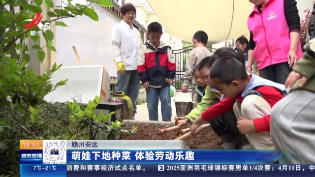 赣州安远：萌娃下地种菜 体验劳动乐趣