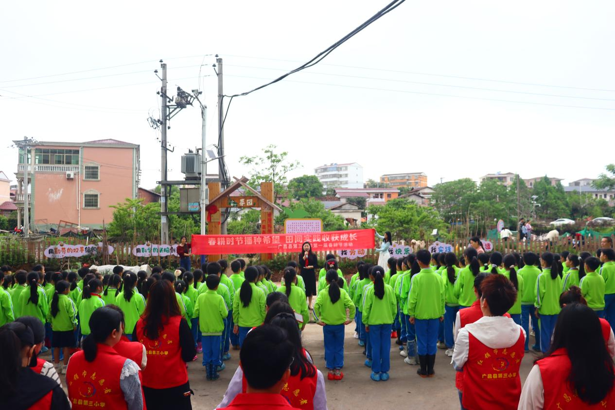 春耕时节播种希望 田间实践收获成长——广昌县第三小学举行第一届春耕节实践活动