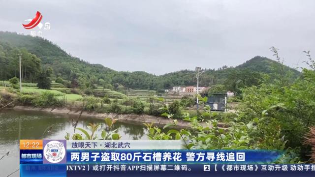 都市现场·午间版20250420