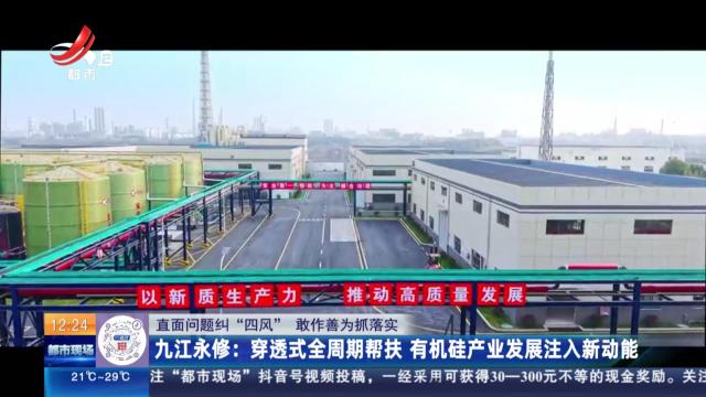 【直面问题纠“四风” 敢作善为抓落实】九江永修：穿透式全周期帮扶 有机硅产业发展注入新动能