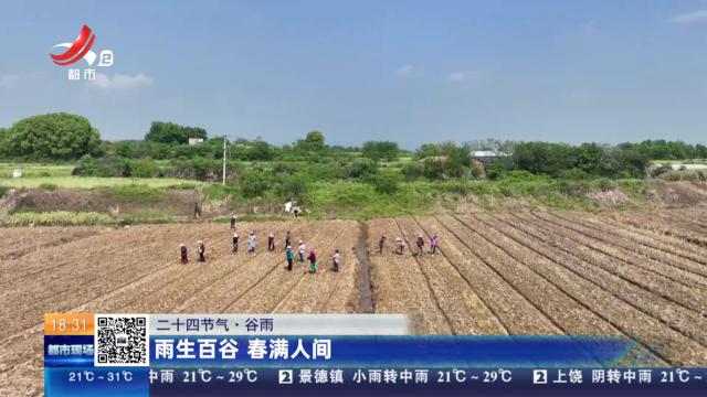 都市现场20250420