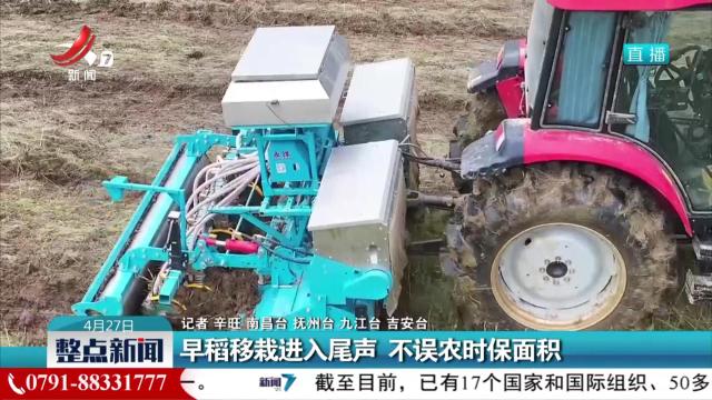 早稻移栽进入尾声 不误农时保面积