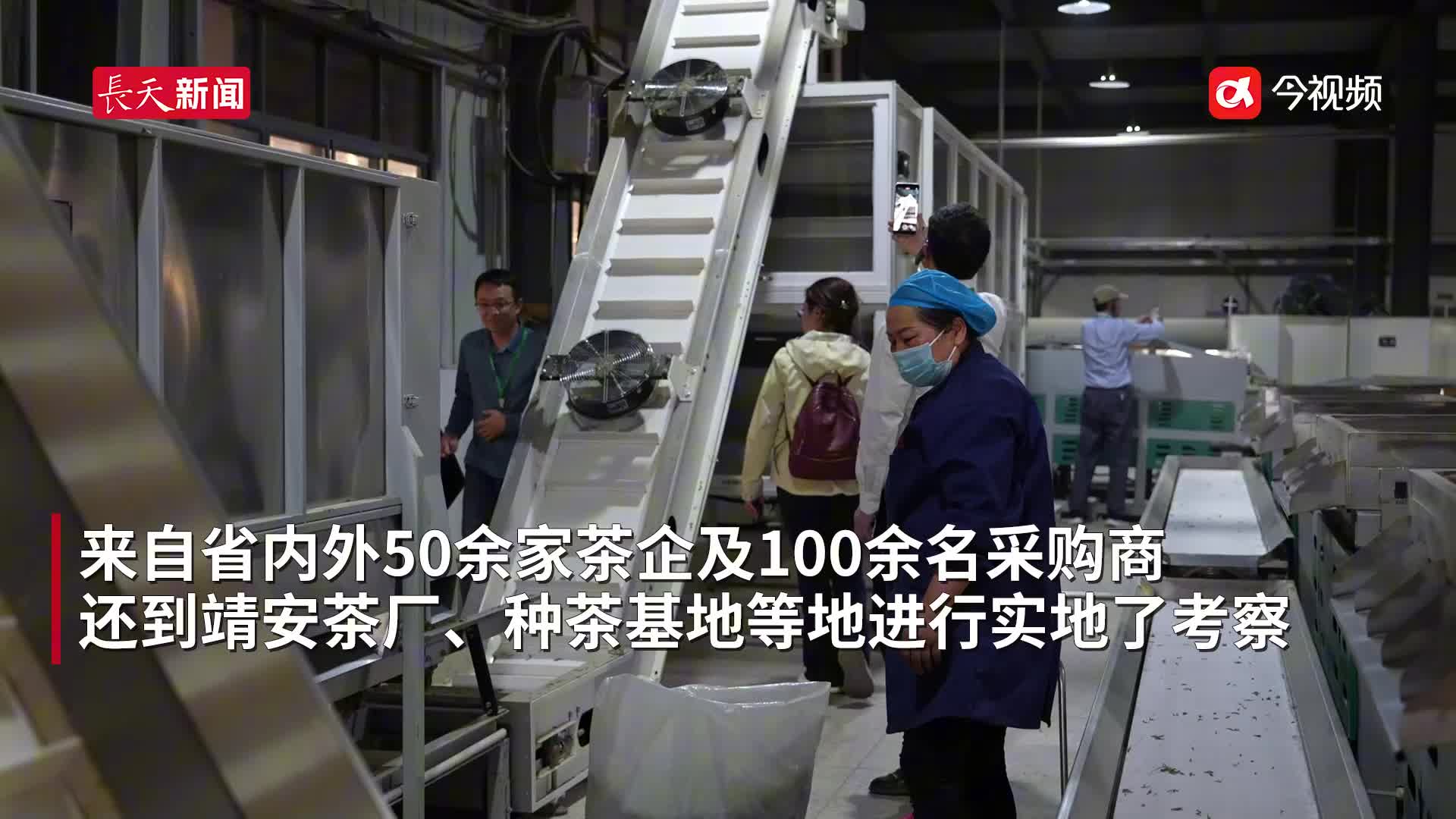 靖安白茶如何在行业里独占鳌头 国内专家学者来献策