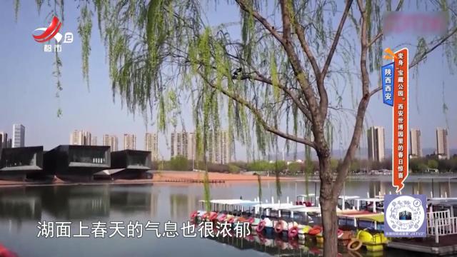 地宝当家20250426