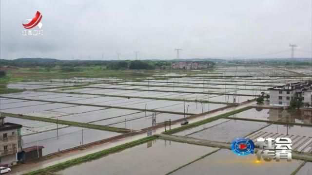 社会传真20250417 春耕里的“科技范儿”