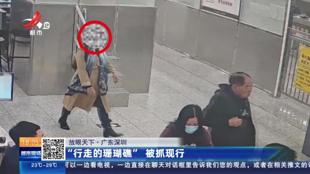 【放眼天下】广东深圳：“行走的珊瑚礁”被抓现行