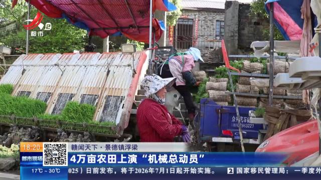【赣闻天下】景德镇浮梁：4万亩农田上演“机械总动员”