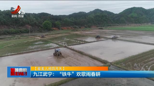 【最美人间四月天】九江武宁：“铁牛”欢歌闹春耕
