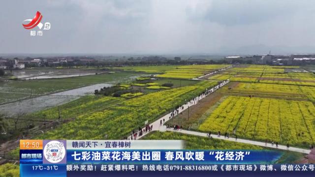【赣闻天下】宜春樟树：七彩油菜花海美出圈 春风吹暖“花经济”