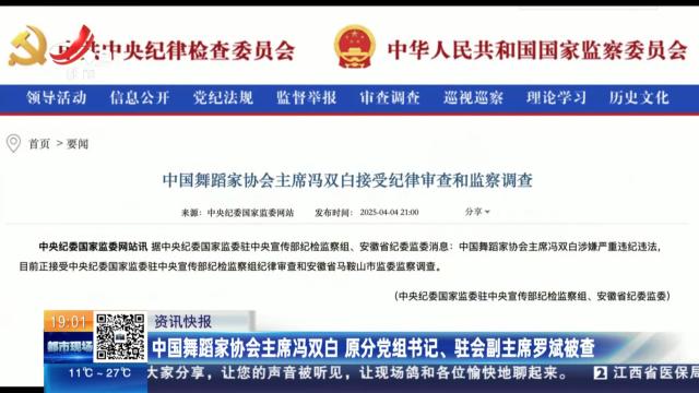 中国舞蹈家协会主席冯双白 原分党组书记、驻会副主席罗斌被查