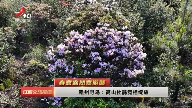 江西文旅报道20250416
