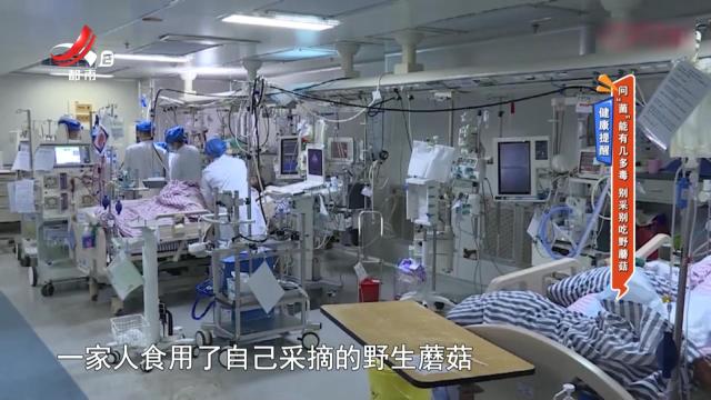 健康提醒——问“菌”能有几多毒 别采别吃野蘑菇