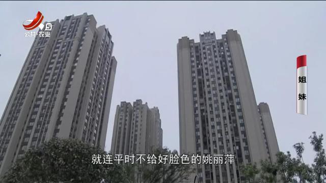 乡村栏目剧场20250413 姐妹