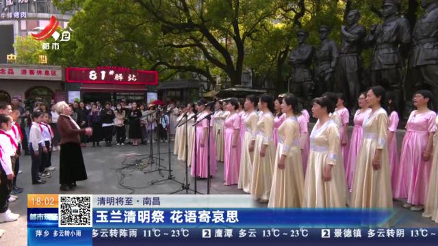 【清明将至】南昌：玉兰清明祭 花语寄哀思