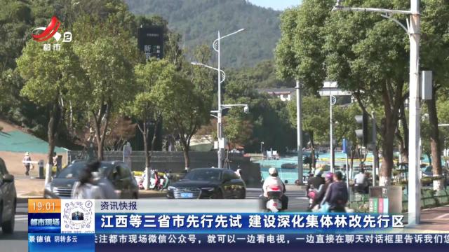 江西等三省市先行先试 建设深化集体林改先行区