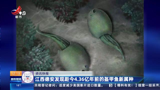 江西德安发现距今4.36亿年前的盔甲鱼新属种
