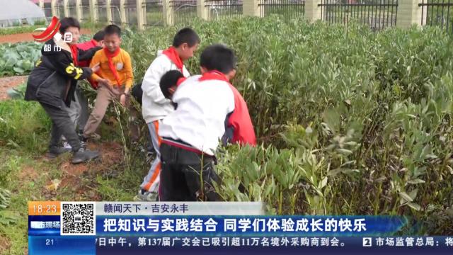 【赣闻天下】吉安永丰：把知识与实践结合 同学们体验成长的快乐