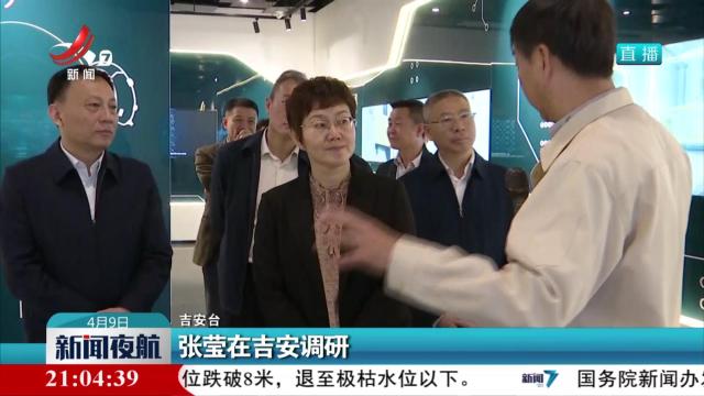 张莹在吉安调研