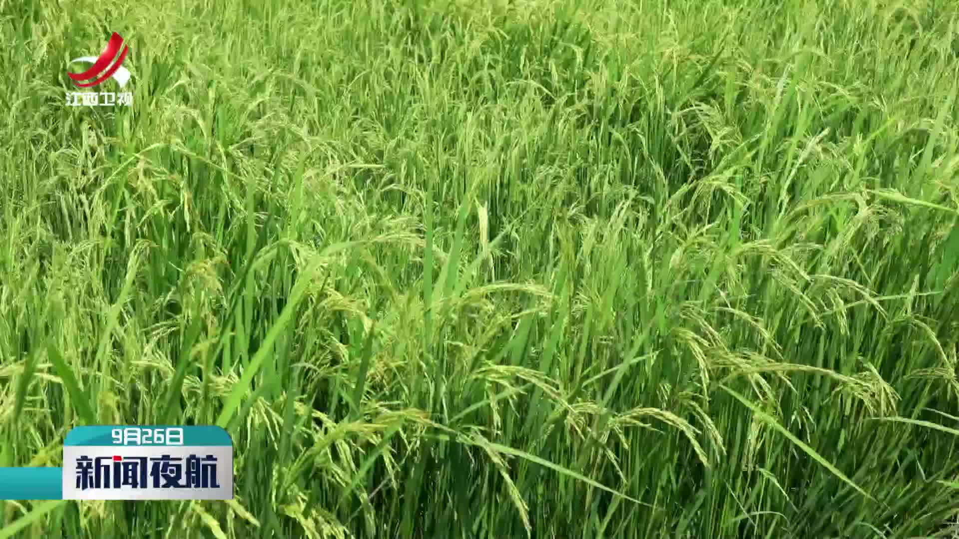 【聚焦南方丰水地区农业水价综合改革（三）】迭代升级 实现农业节水长效运行