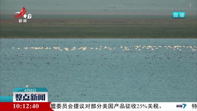 爱鸟护鸟 共筑生态家园