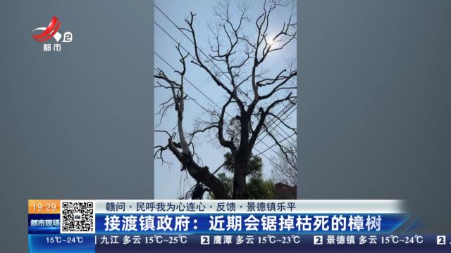 【赣问·民呼我为心连心·反馈·景德镇乐平】接渡镇政府：近期会锯掉枯死的樟树
