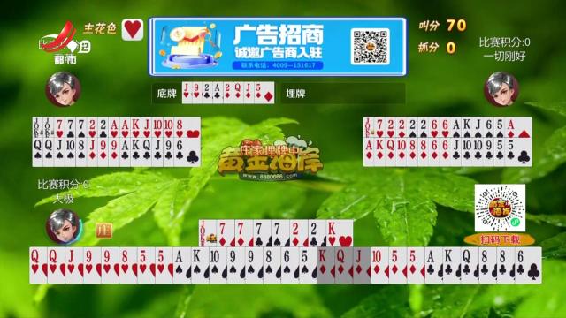 谁是赢家20250426