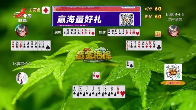 谁是赢家20250428