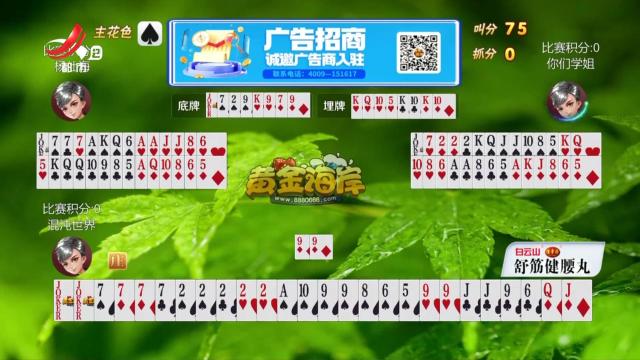 谁是赢家20250405