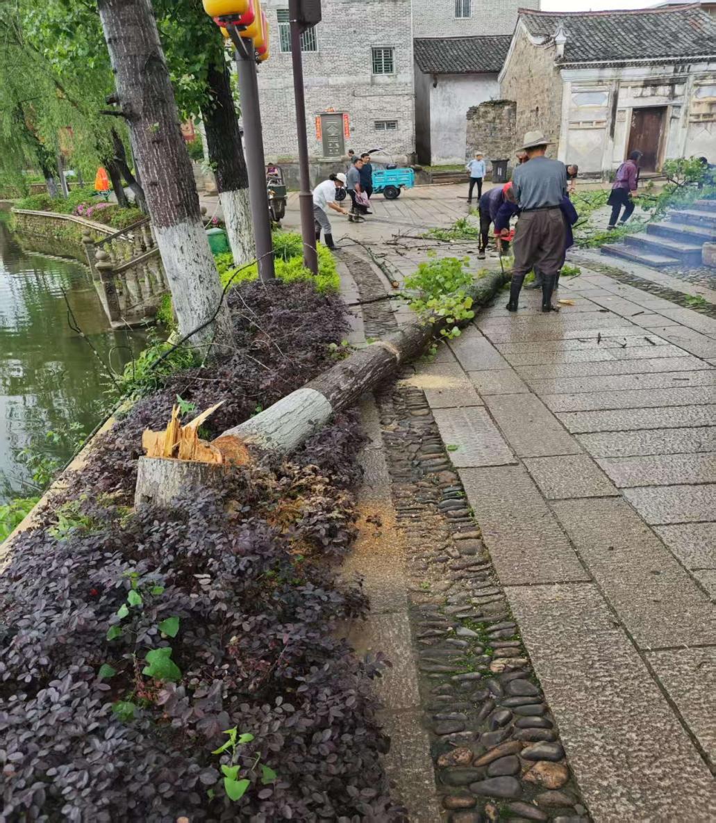 欧博体育网址乐安县流坑管委会办实事：修复破损路面清理倒塌树木保障出行安全(图2)
