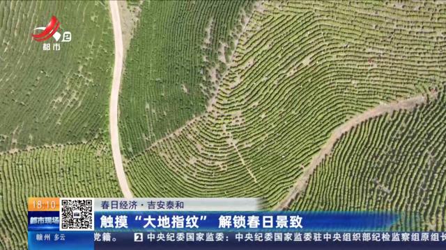 【春日经济】吉安泰和：触摸“大地指纹” 解锁春日景致